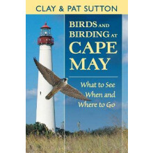 Birds and Birding at Cape May What to See, When and Where to Go
