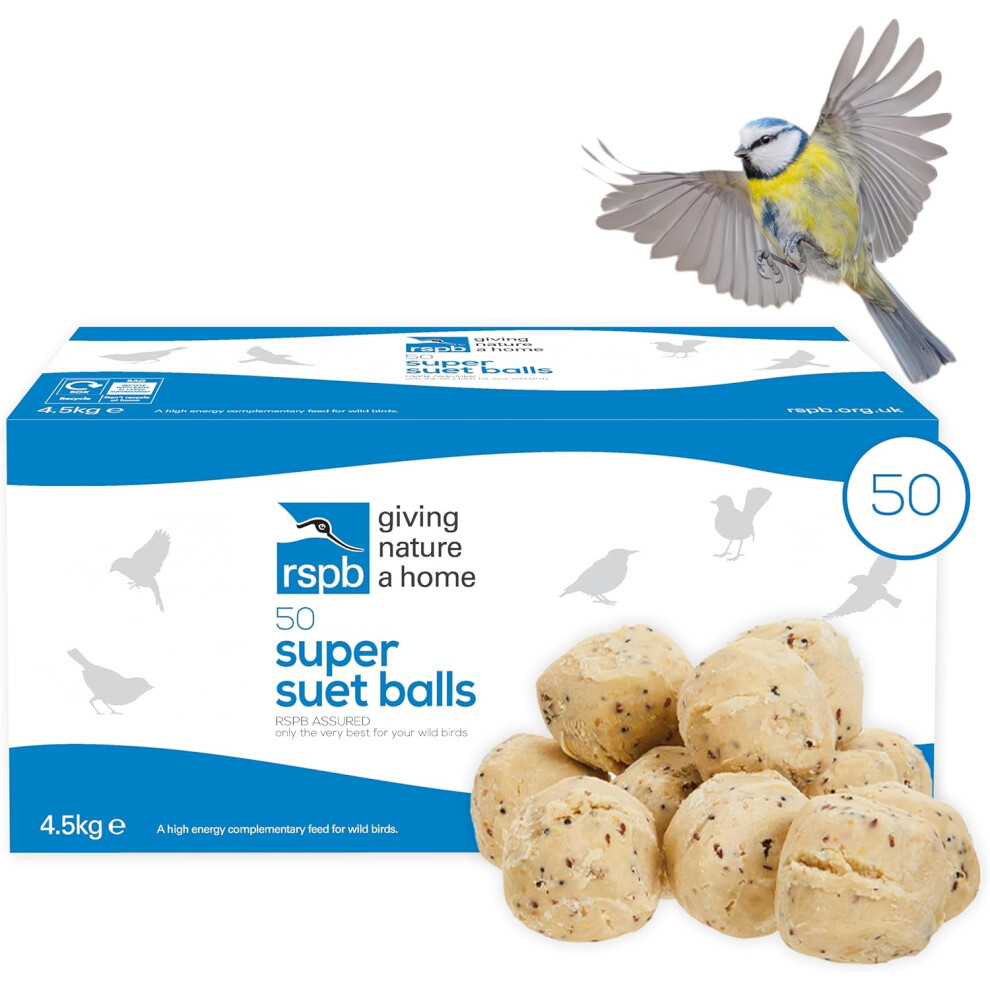 Fat Balls for Wild Birds, High Energy Food, Suet Balls for Wild Birds, Made in the UK, Suitable for Year-round Feeding (Box of 50) - RSPB