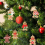 12Pcs Ornaments for Christmas Assorted Plastic Gingerbread Figurines Tree Hanging Decorations 6