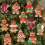 12Pcs Ornaments for Christmas Assorted Plastic Gingerbread Figurines Tree Hanging Decorations 4