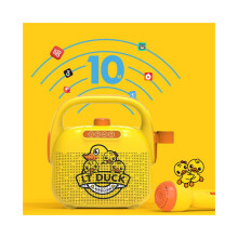 Canard pour enfants chantant, Machine à karaoké, jouets, haut-parleur Bluetooth, cadeau matériel ABS