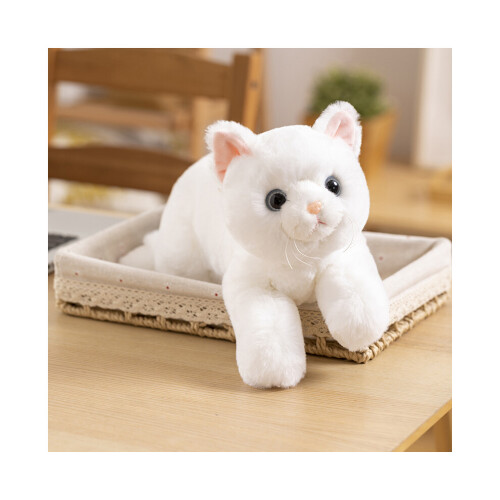 (Blanc, 50 cm/19,69 pouces) Chat en peluche pour enfants, jouet chaton, poupée mignonne en coton PP,