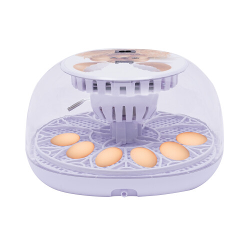 12 Household Incubators, Suitable For Chicks/Ducks/Pigeons, Etc