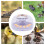 12 Household Incubators, Suitable For Chicks/Ducks/Pigeons, Etc 10