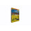 Le bus scolaire magique 8 DVD 2