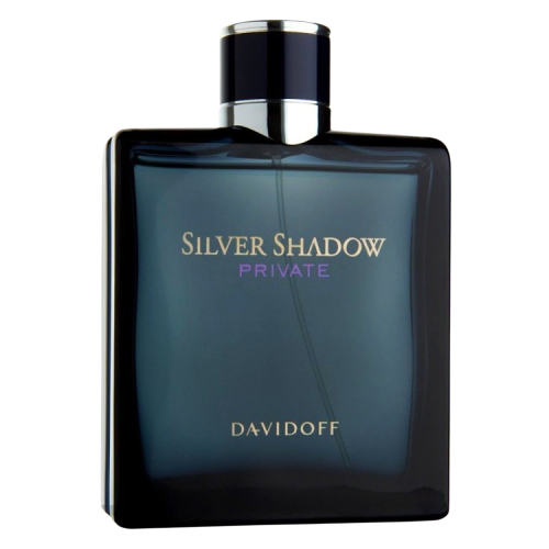 Davidoff Davidoff Silver Shadow Private-100 ml