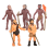 Simulation Human Evolution Models Primitive Figurine Growth Cycle Educational Toys for Children 4