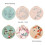 3 Pack Embroidery Kit for Beginners, Kits Adults Include Cloth with Birds Pattern 6
