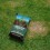 Westland Westland Lawn & Turf Dressing 25 Litre 2