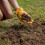 Westland Westland Lawn & Turf Dressing 25 Litre 3