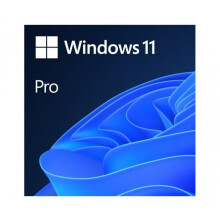 Microsoft Windows 11 Pro 1 license(s)