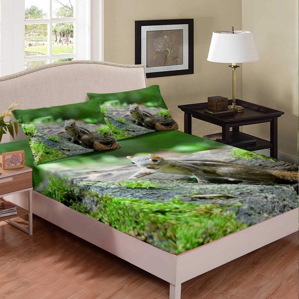 ((No Comforter)) 3D Print Squirrel Fitted Sheet & Pillow Sham Set Moss Stone 3 Piece Bedding Decor Set Animal for Kids Boys Girls Nature Double Size Brown Green Soft M