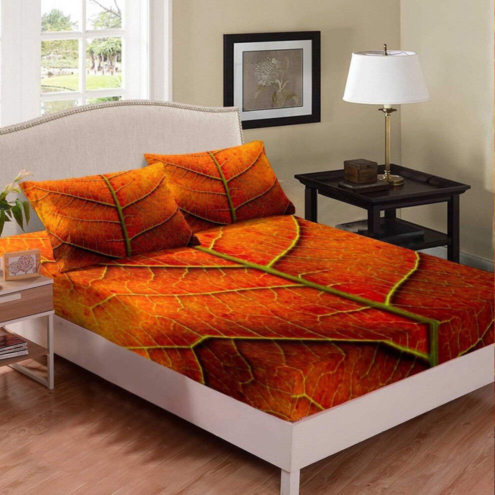 ((No Comforter)) Greneric Autumn Leaves 3 Piece Bedding Decor Set Red Leaf Vein Fitted Sheet & Pillow Sham Set Leaf Skeleton Sample for Kids Boys Girls Plant Natural F