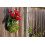 SuperMoss (29346) Kokedama Planter  4""""  Fresh Green 5