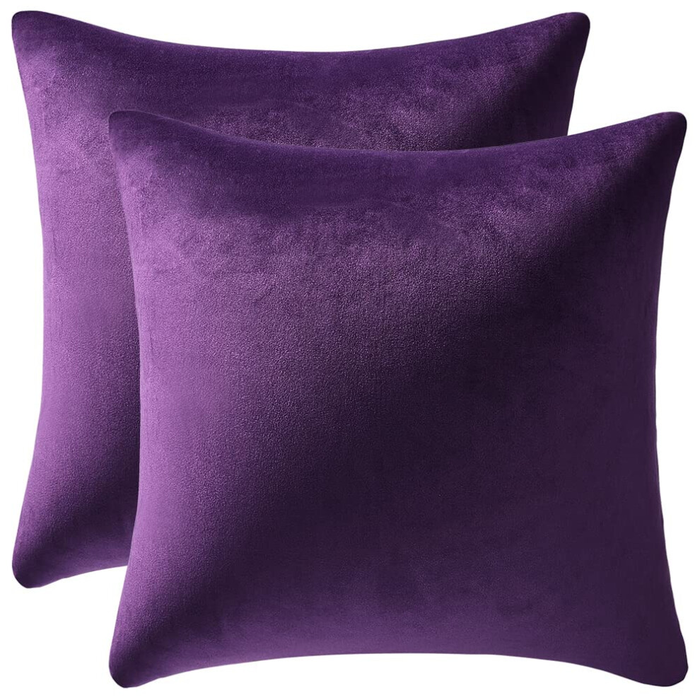 DEZENE Lot de 2 housses de coussin d   coratives carr   es en velours doux et confortable 40 x 40 cm Violet