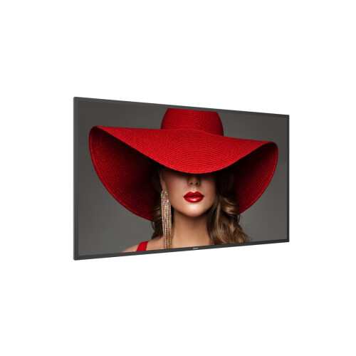 Philips Philips LED-Display 55BDL4650D - 140 cm (55") - 3840 x 2160 4K 1