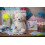 ??????ta Taggies Original 12 x 12"" Comfy Bears 5