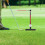 360 ° Automatic Ball Return, Adjustable Height Golf Swing Trainer 7