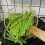 Ronde koperen spinzeef van 4 inch 5