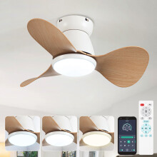 ycwdcz Small Ceiling Fans with Lamps Super Silent DC Ceiling Fans with Lights and Remote 6 Speeds Reversible 3 Blades 3 CCT, Mini Led Ceiling Fan for