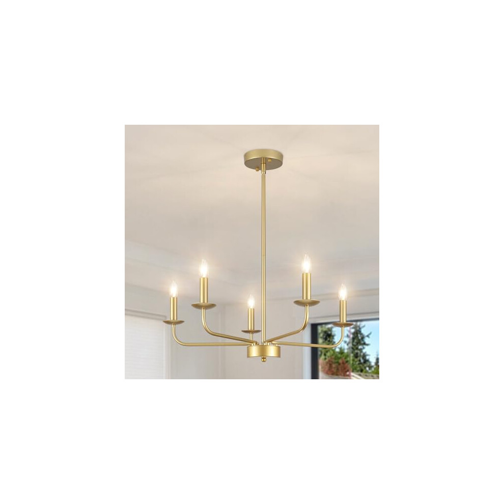 QAREHL Gold Chandeliers Ceiling Light 5 Lights Pendant Lighting Ceiling, Modern Gold Light Fitting for Living Room, Dining Room, Kitchen, Bedroom,