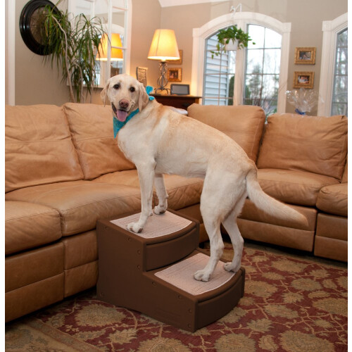 Pet Gear Easy Steps II Extra Wide, Small, Chocolate Brown 1