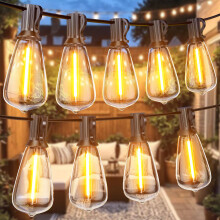 Festoon Lights Outdoor 100FT/30M, Warm White ST38 Garden Lights, Waterproof Outdoor Light Mains Powered with 50+2 Plastic LED Bulbs, Led String Light