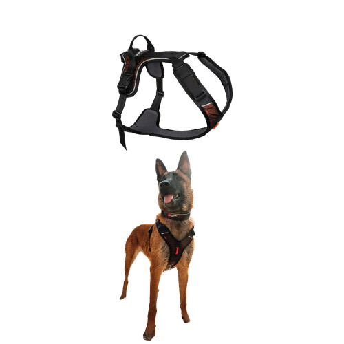 Rock Harness Parent (S)