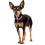 Hunter Hunter Dog Collar Nappa Leather Diamond Petit 3