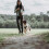 Hunter HUNTER Training leash, 16/200 Soft genuine cow leather, dark brown 2