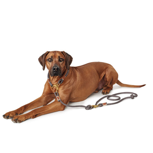 Hunter HUNTER Adjustable leash Sansibar Rantum, 12/200 Rope, grey 2