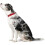 Hunter Hunter - Collar Softie Alu-Strong 40-55 cm red 2