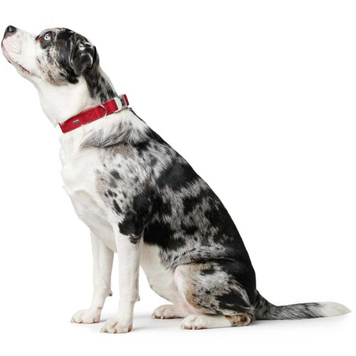 Hunter Hunter - Collar Softie Alu-Strong 40-55 cm red 1