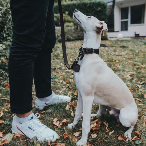 Hunter HUNTER Leash, 20/100 Soft genuine cow leather, black 1