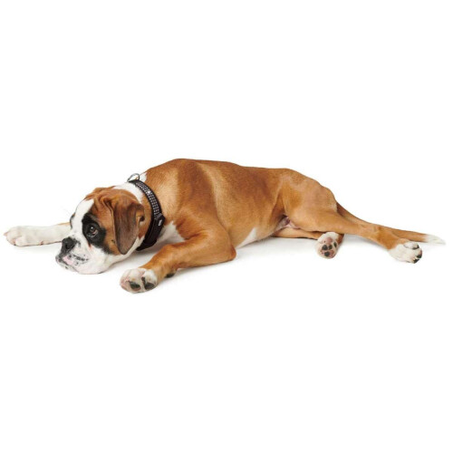 Hunter HUNTER Softie Deluxe Collar, X-Large, Black 2
