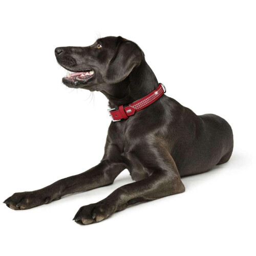 Hunter Hunter Softie Deluxe Collar, 50, Red 2