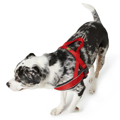 Hunter HUNTER RACING Norwegian Harness, XL, 68- 90 cm brown/cognac 1