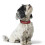 Hunter Hunter Softie Deluxe Collar, 45, Red 3
