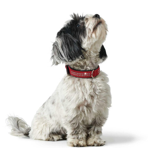 Hunter Hunter Softie Deluxe Collar, 45, Red 2