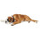 Hunter Hunter Softie Deluxe Collar, 55, Black 3