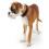 Hunter Hunter Softie Deluxe Collar, 55, Black 4