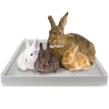 22x18 Super Large Rabbit Litter Box with 2 Grates (Metal & Plastic), Bunny Litter Tray for Cage, Small Animal Potty Trainer for Adult Rabbit Flemish