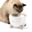 Catit Catit PIXI Smart Water Fountain,White 3