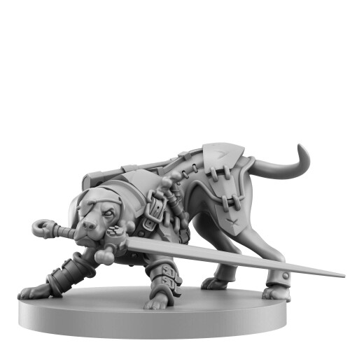 Animal Adventures: Starter Set - Beginners Roleplaying Tabletop Game 5E Compatible 2