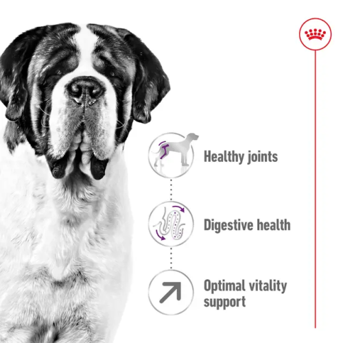 Royal Canin Royal Canin SHN Giant Adult torrfoder för hundar 15 kg 1
