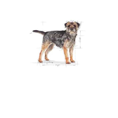 Royal Canin SHN Mini Steriliseret tørfoder til hunde 8 kg 2