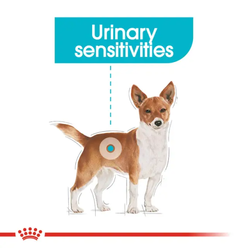 Royal Canin Royal Canin Mini Urinary Care CCN 3 kg 2