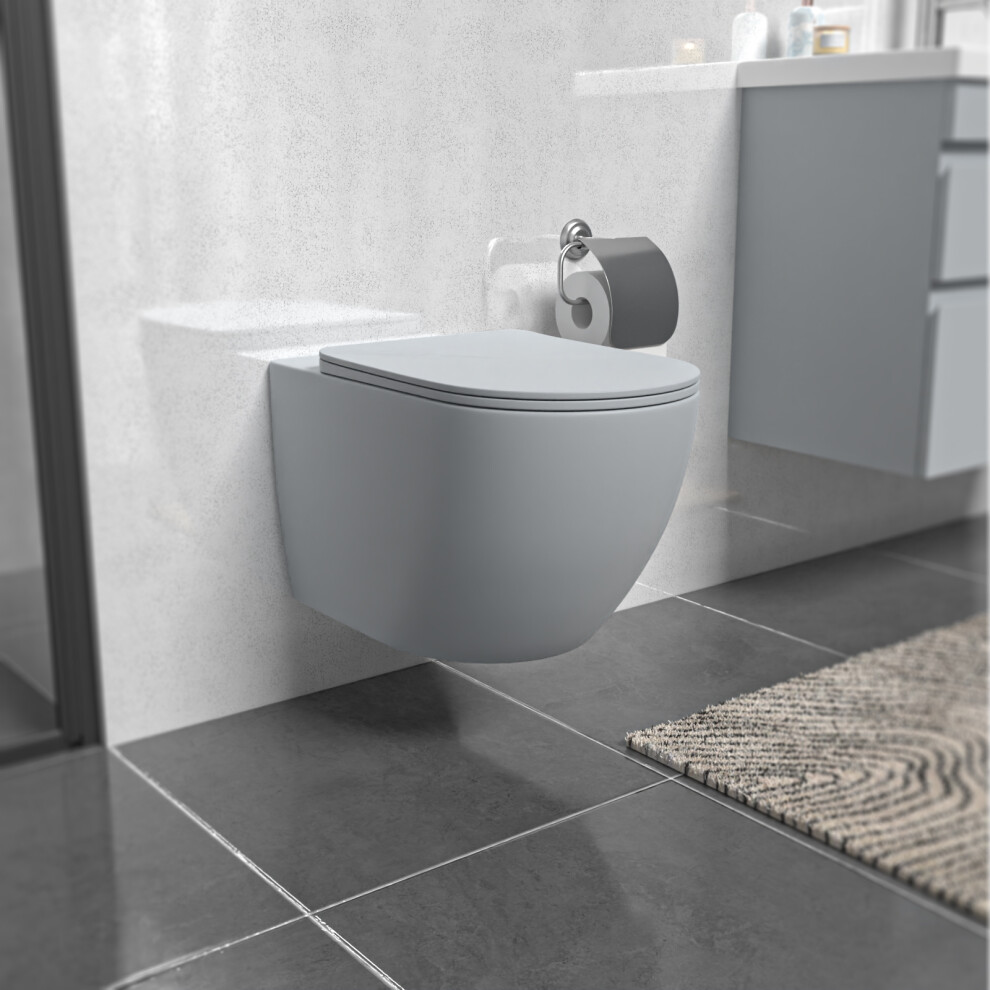 Nes Home Round Matte Grey Wall Hung Rimless Toilet With Soft Close Seat