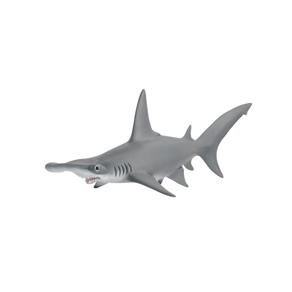 (Hammerhead Shark) Schleich Marine Animal Killer Whale Hammerhead Shark Παιδιά μοντέλ