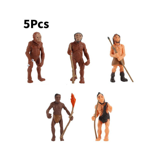 (Primitive) Education Solar Childre System Cosmic Planet Primitive Evolution Διακοσμητικό